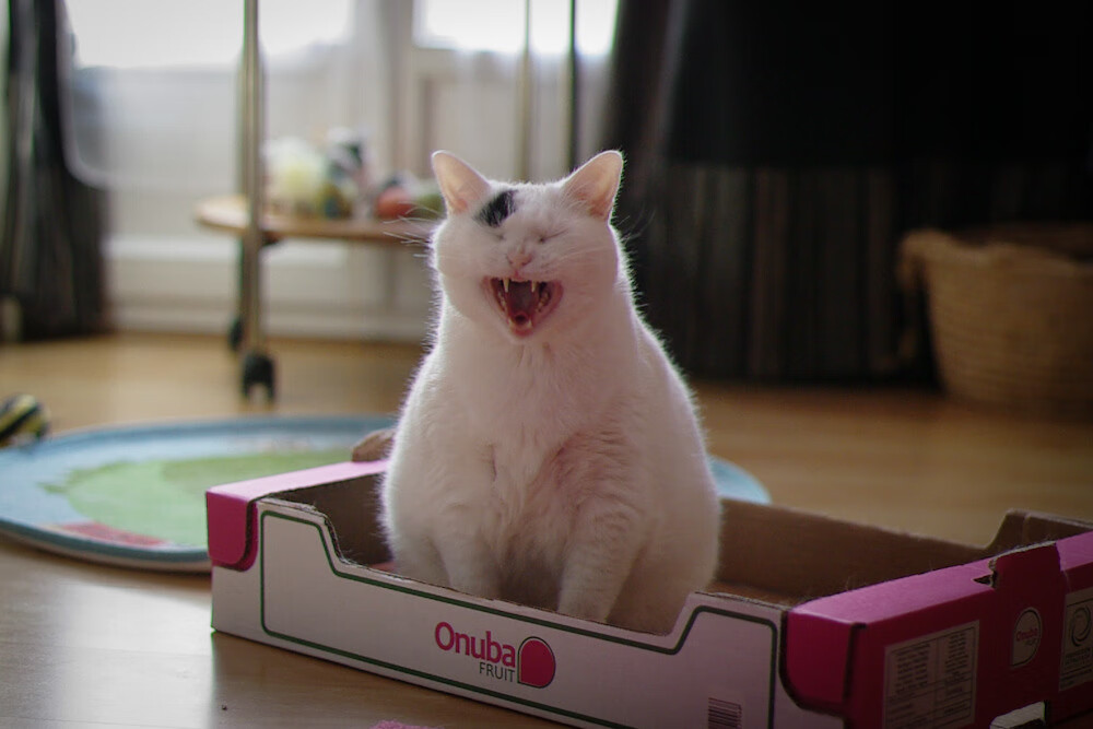 “中国足球青训计划获得国家专项资金支持”，中国足球青训补偿及培训费