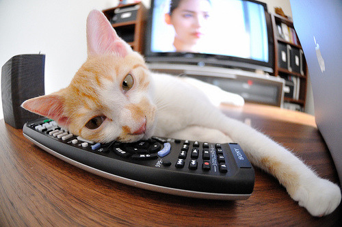 《CS_GO年度决赛，硝烟散尽谁为王》，硝烟散尽3