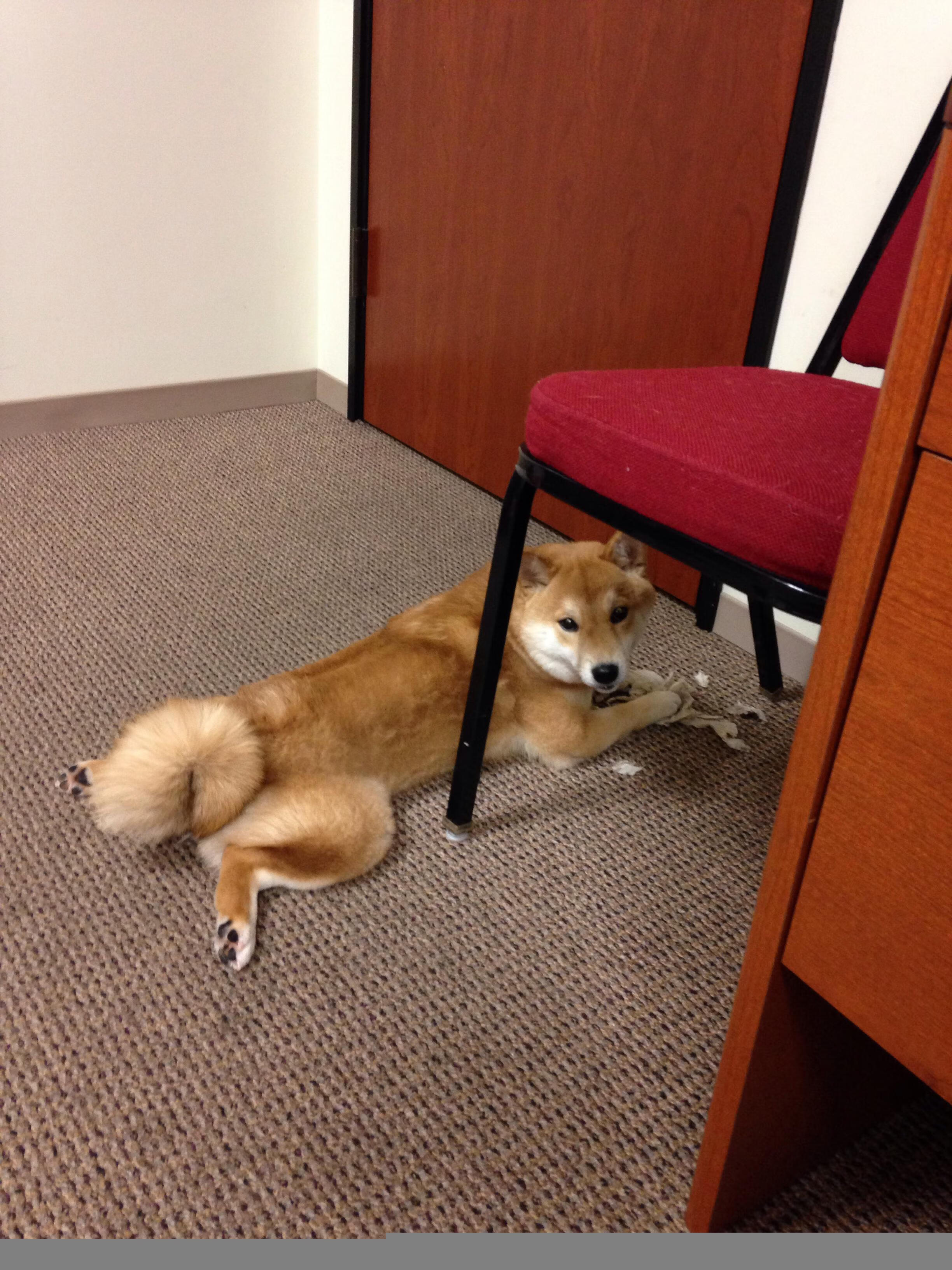 《Dota 2“逆转之夜”赛事，奇迹不断刷新纪录》，dota2 逆风