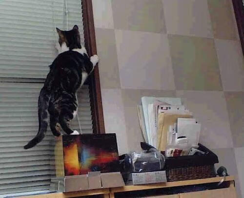 主教练专栏:战术布局的胜负关键在哪?,战术技巧