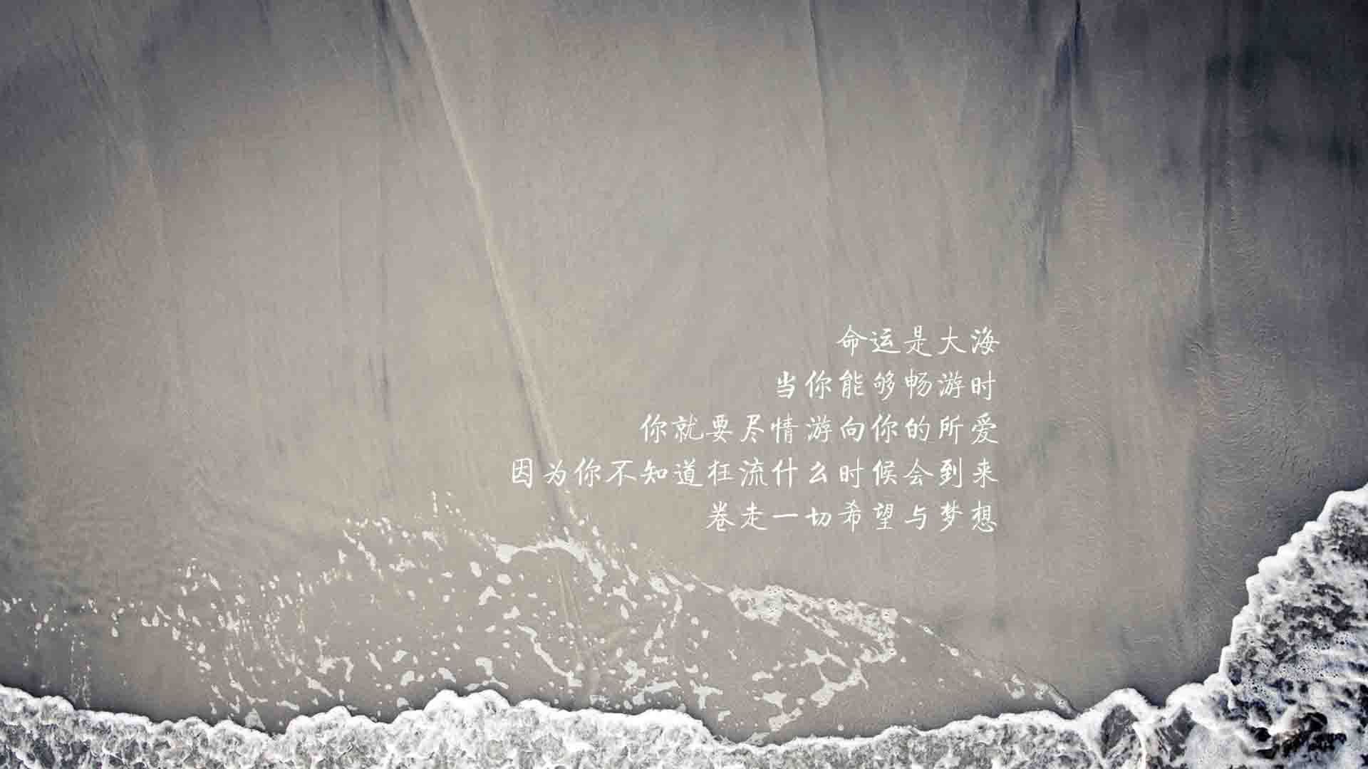 kaiyun登录入口-_国际游泳节：水中世界的精彩碰撞_，2021国际游泳比赛