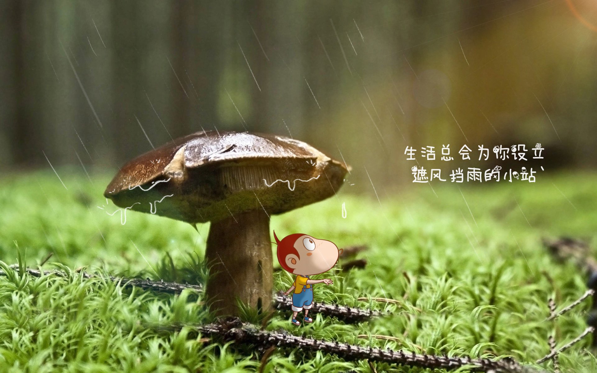 _全球网络直播，直击精彩比拼零距离接触_，全球实时直播