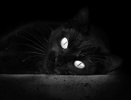 【“快允许”规则实测】缩短比赛时间对球队策略的深远影响