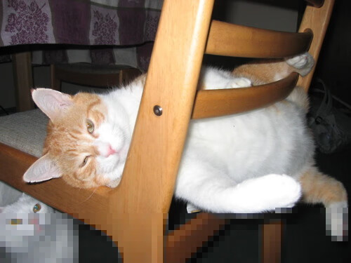 Kering-曼联宣布引进顶级中场，实力大幅提升，曼联最新引援