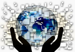 开云体育官方-国家滑板协会公布全国青少年排名更新机制，国家滑板队训练中心