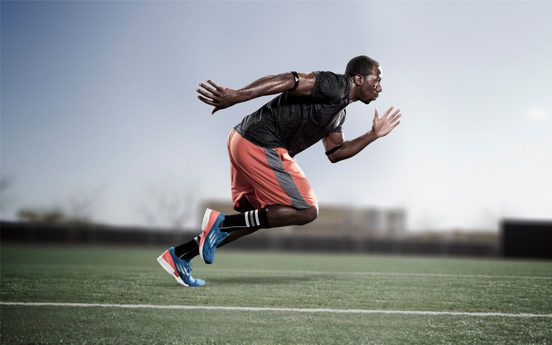 开云网页版登录入口-澳大利亚传奇麦克沃伊再攀高峰，澳大利亚麦克布莱德